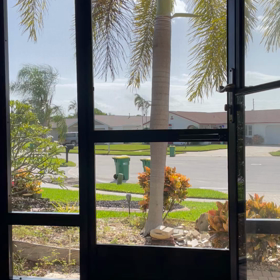 椰子の木の画像