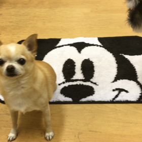 克服するぞ！！の画像