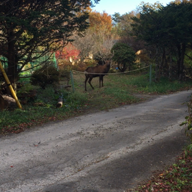 久しぶりにの画像