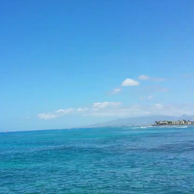 park 散歩       Hawaii 動画の画像