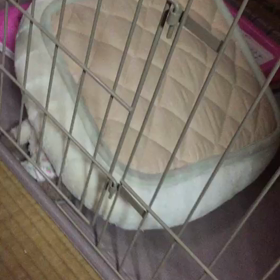 亀な気分Part２の画像