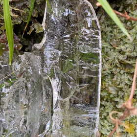 この一滴が　そのまま　海への画像