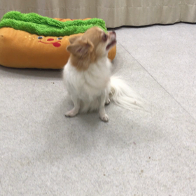 ♪プレイルーム動画♪の画像