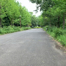 100m記録会 Bグループ①の画像