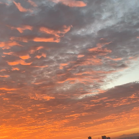 今日の朝空の画像