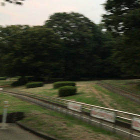 ♪お散歩動画♪代々木公園♪②の画像
