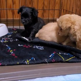 可愛い(*^^*)の画像