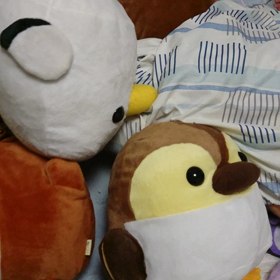 かくれんぼの画像