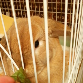 まさかの…の画像