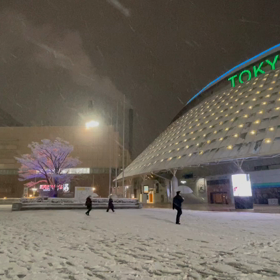 東京ドームも雪景色の画像