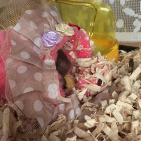 お布団その後のその後の画像