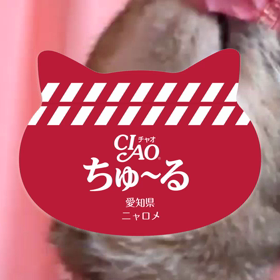 【ニャロメ通信】の画像