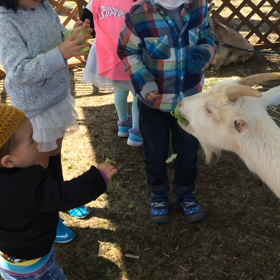 あれから２年の画像