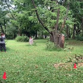 400mインターバル⑪の画像