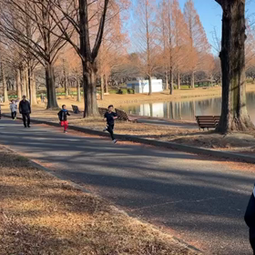 12/29 1000m④の画像