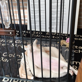 お気に入りの画像