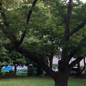 休日ですが…   やはり休めません…の画像