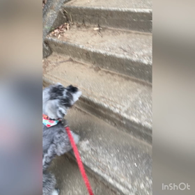 優しいジョナサン君♡の画像