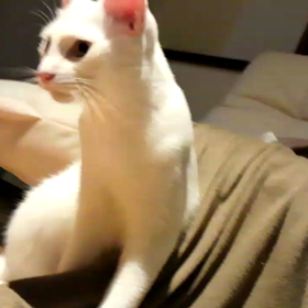 対照的な2人の画像