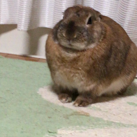 4月なのに寒いの画像