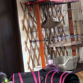 誰に貢いでるんだ！！！の画像