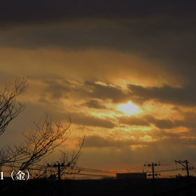 本日も、お疲れ様でした☘️☕️☘️の画像