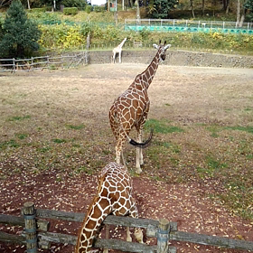 さてさて！の画像