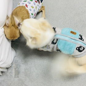 熱烈な訪問の画像