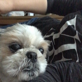 大雨ですの画像