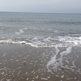 まったりと……の画像