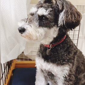 10月第1週の日曜日はクリーン作戦、そして雨の画像