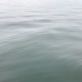 ﾉｰｺﾒﾝﾄの画像