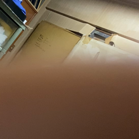 ともみ犯なさかの画像