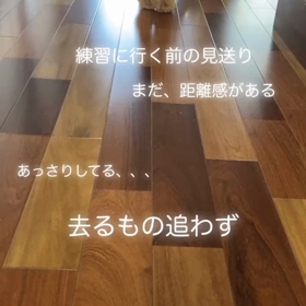 宇野樹君インスタストーリーより　練習に行く前の見送り　まだ、距離感があるの画像