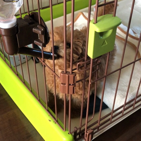 ☆むう、大きくなりました！☆の画像