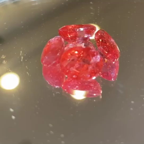 ロードナイト見付けた!の画像