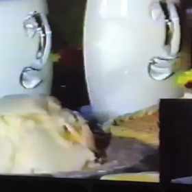 in 町村農場の画像