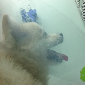 今日も面会の画像