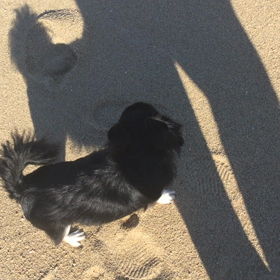 お疲れ様ですの画像