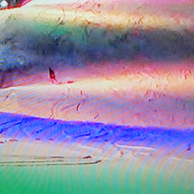 テクニカル・チャンピオンシップの総合滑降の練習の画像