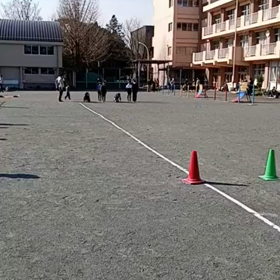 4月2日 ダッシュの場 23の画像