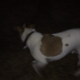 夏日の夜の遊びの画像