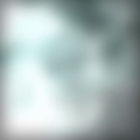 クリスマスカードをいただきましたの画像