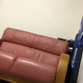 娘に貸したこたつの行方。デールとマリーの画像