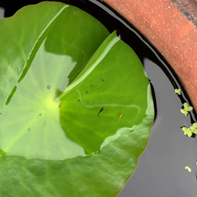 鬼ごっこ？の画像