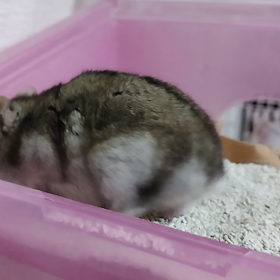 音量注意の画像