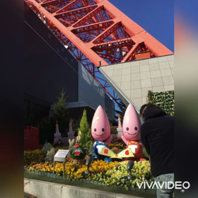 東京タワー七変化Part 2（動画）の画像