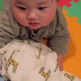 わっはっはの画像