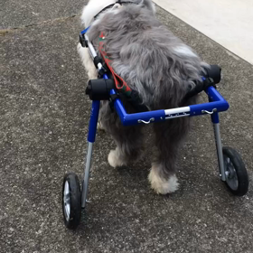 受け継がれしもの！の画像