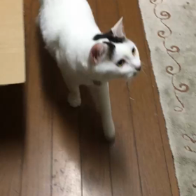 久しぶりにの画像